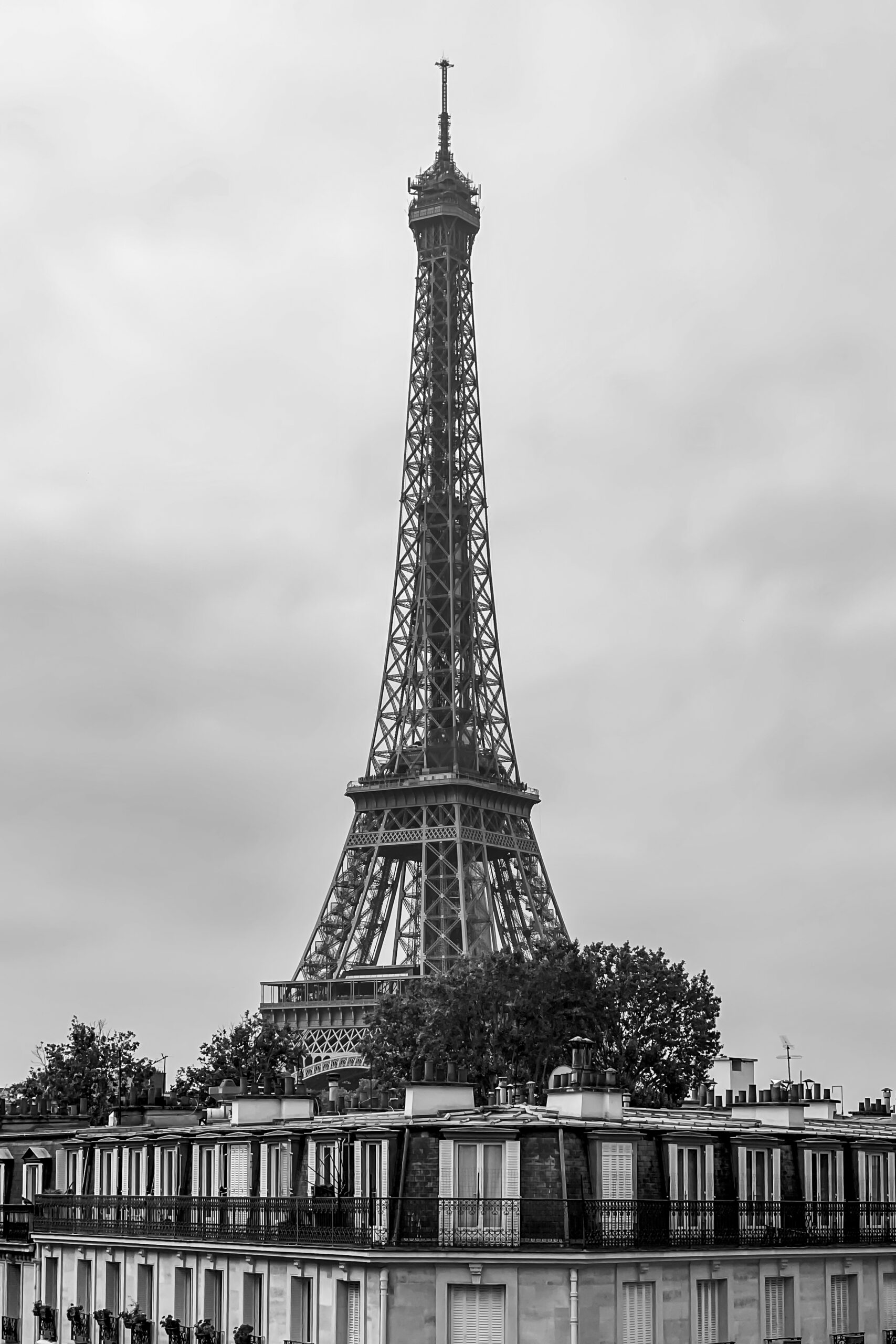 Concrete Jungle by Camille Massida Photography